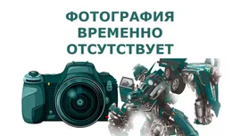 Полуоси заднего моста ВАЗ 2121 "НИВА" разгруженные под ABS "ИжТехно" 2 шт. ## / V-RS-FFA-22ABS (2 шт.)