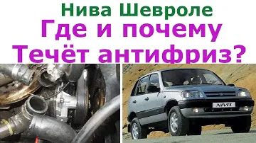 Нива шевроле почему уходит и где течет антифриз